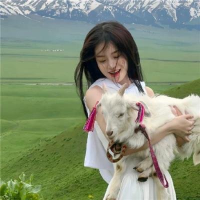 我的小公司